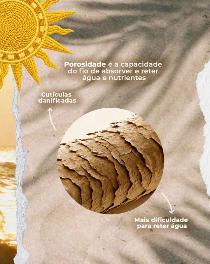 Bn Brazil Cosmetics
