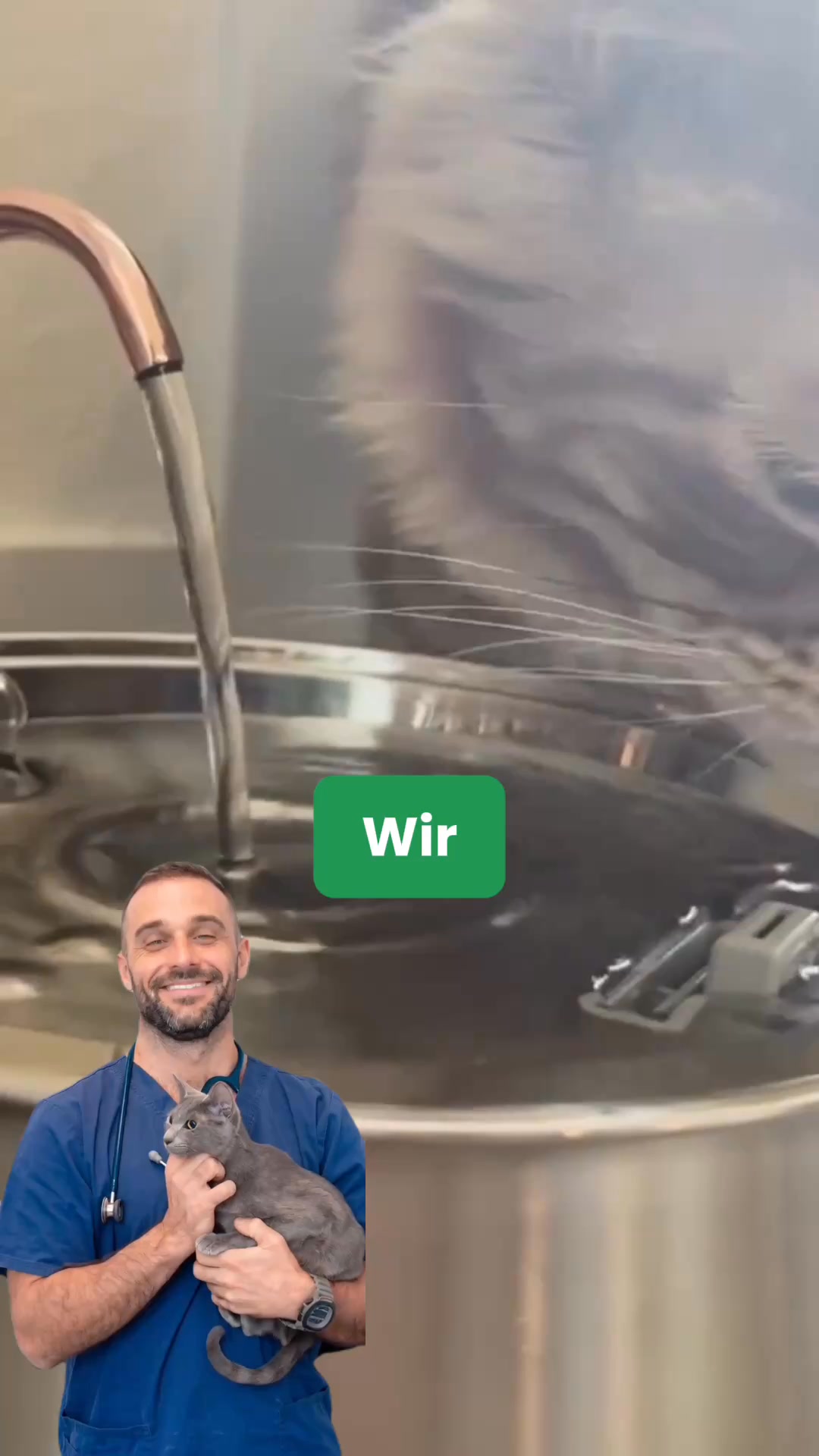 50% RABATT + GRATIS-Geschenke HEUTE