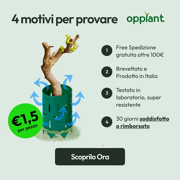 4 motivi per cui centinaia di agricoltori italiani hanno scelto Opplant