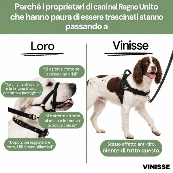 Guinzaglio in regalo con la pettorina