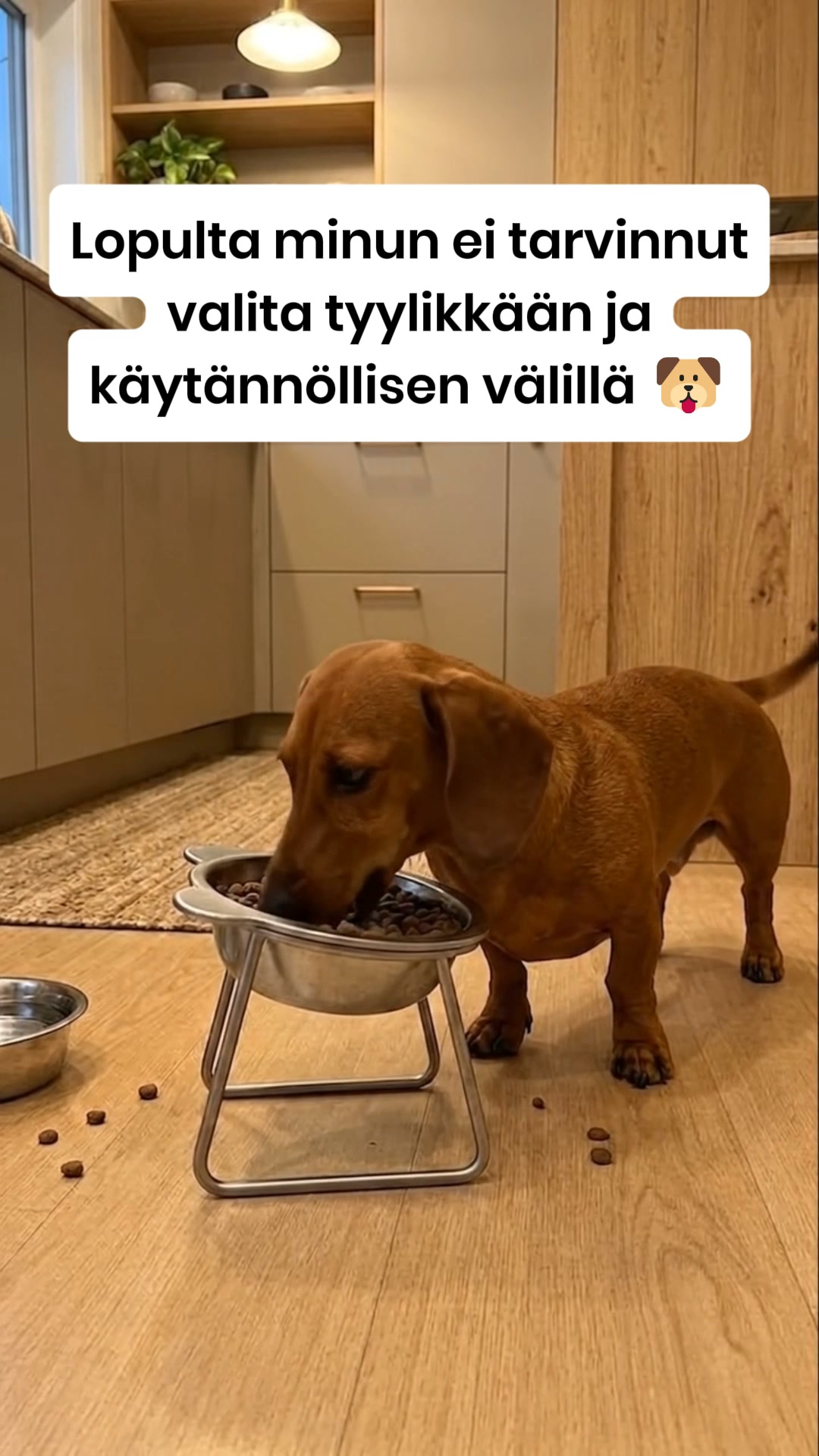 Unohda muovi. Paranna ruokailuhetkeä.