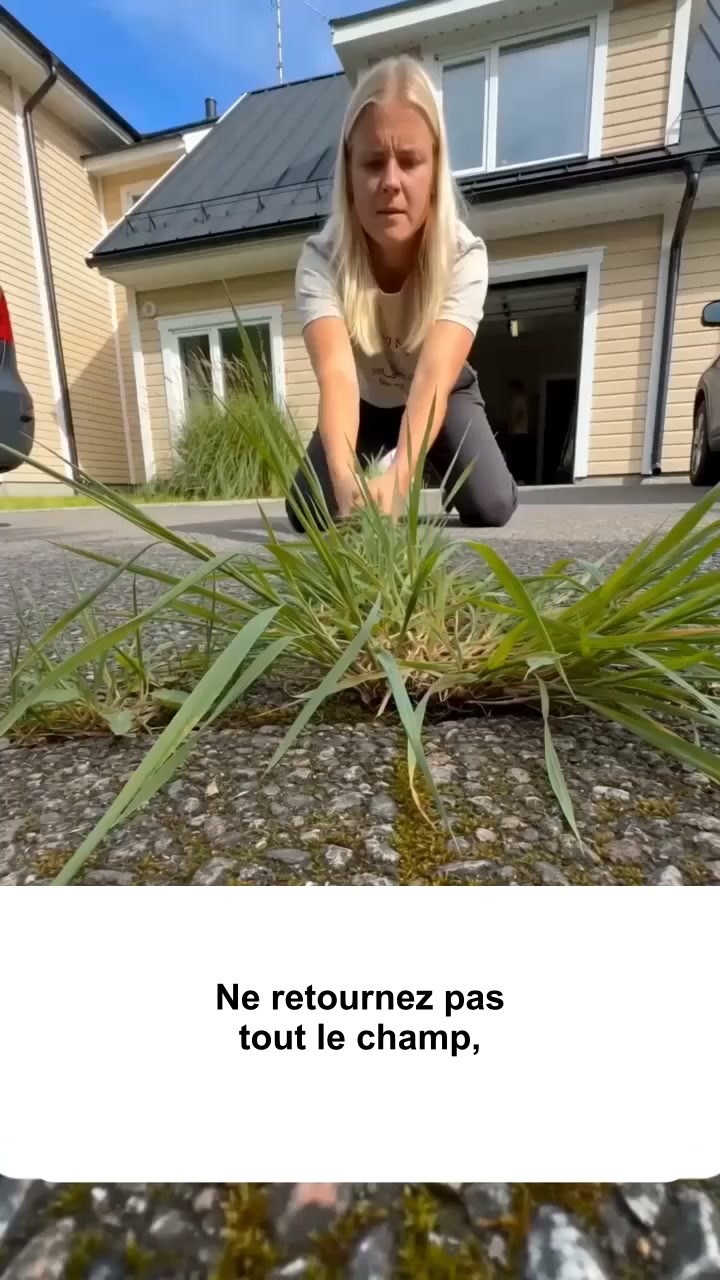 Enfin un jardin propre et bien entretenu