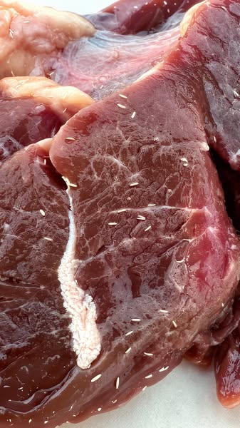 The Hidden Gut Clue We Nearly Ignored