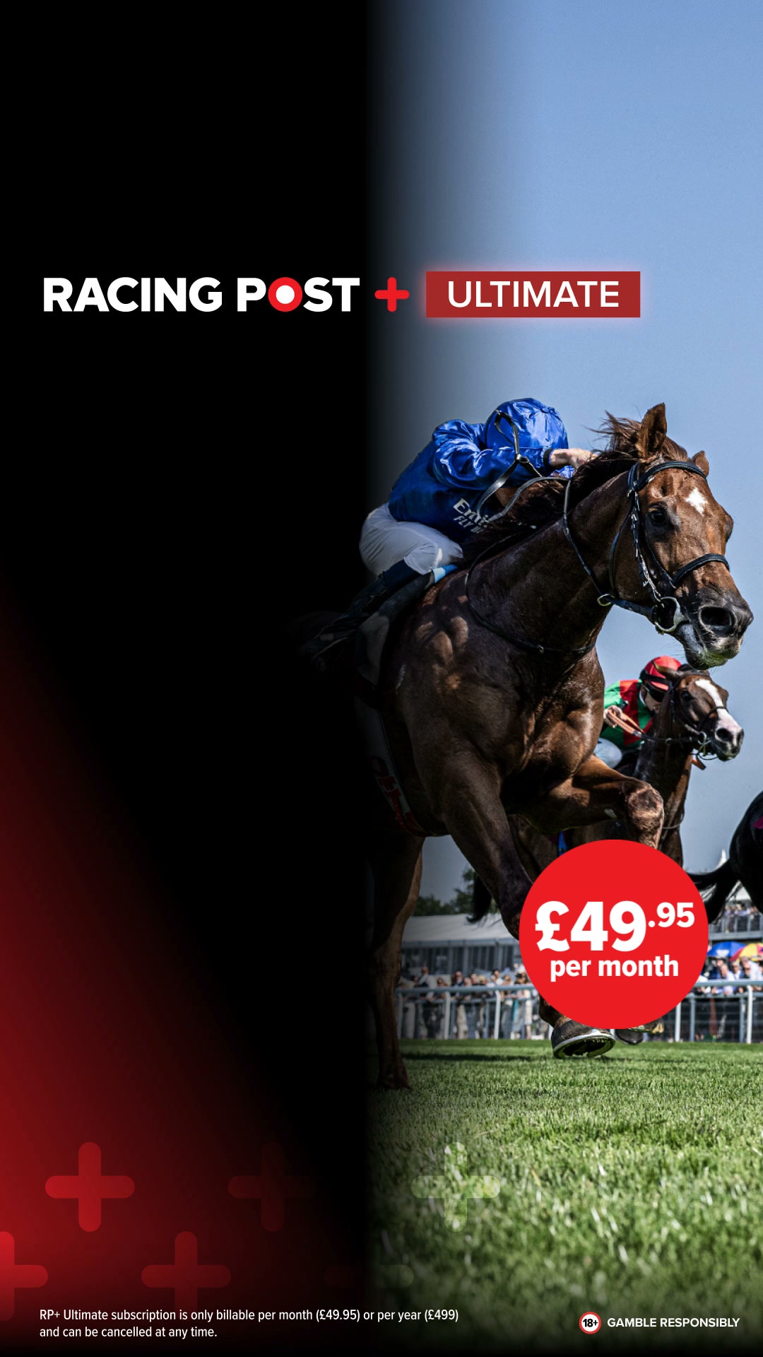 See the full racing picture
