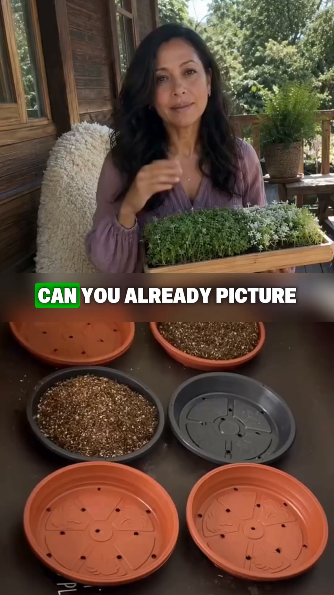 Grow Fresh Microgreens at Home in 7 Days