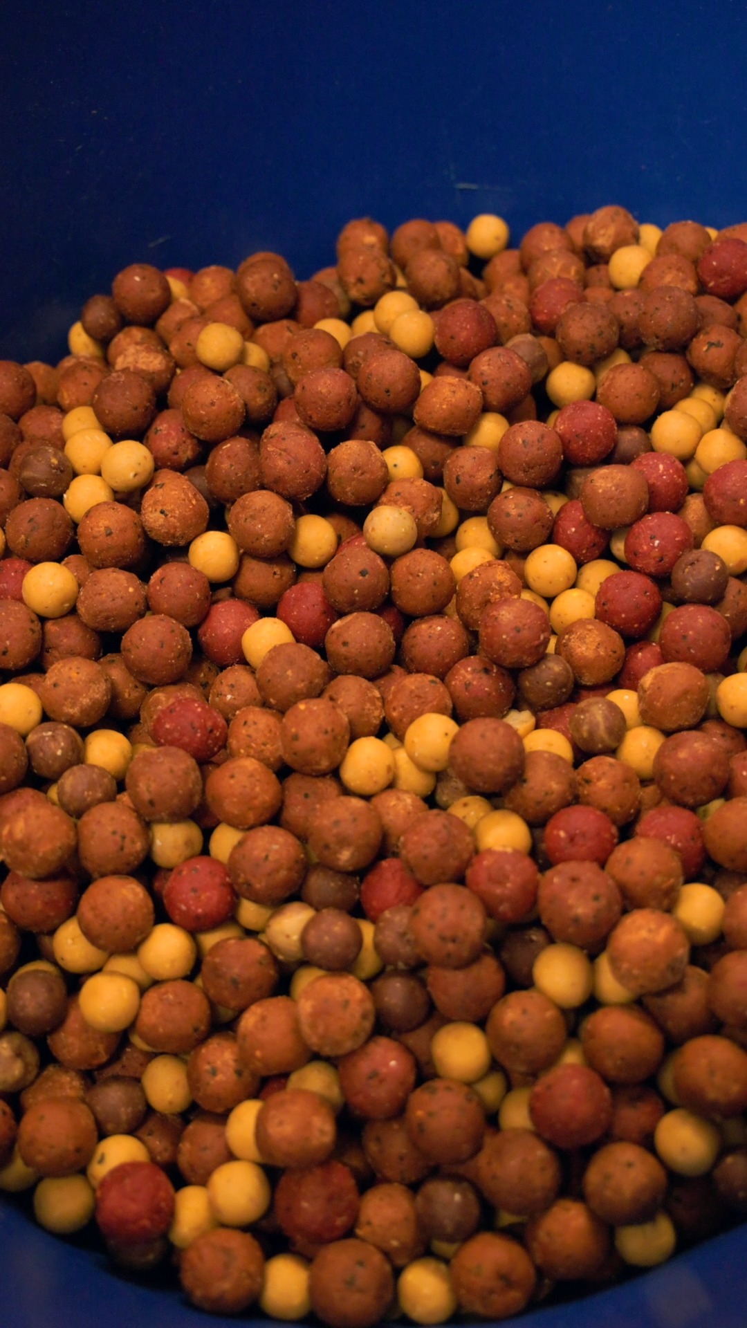 Carp Bait | Boilies | Pellets | Particles | Kent Particles