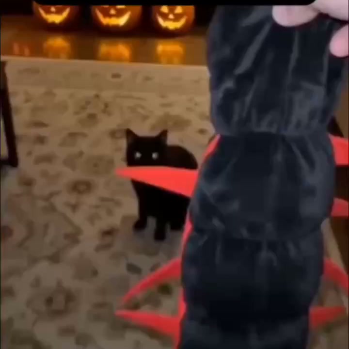 Har du redan sett årets galnaste Halloween-dräkt?