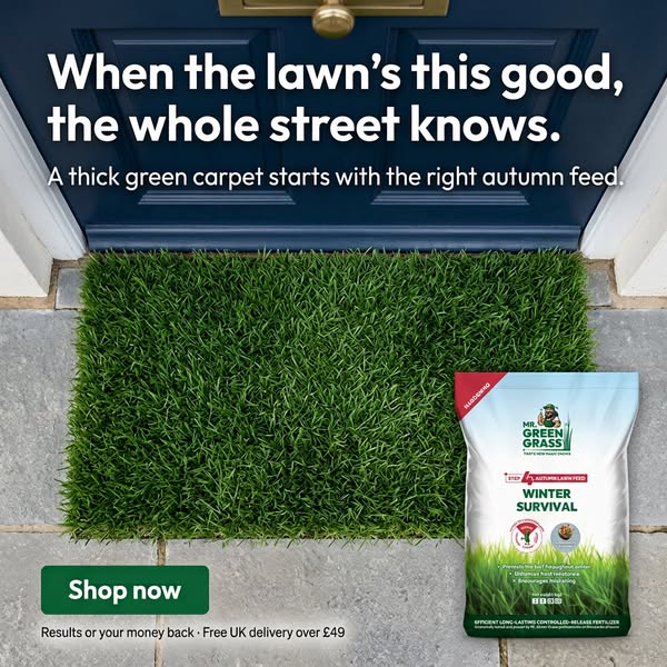 Your Lawn Deserves The BEST!