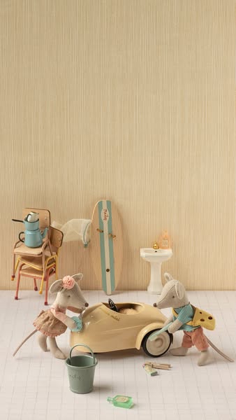 Mouse cars & new things for their home