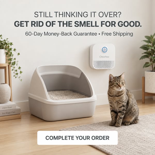 Get Rid Of Litter Box Smell For Good