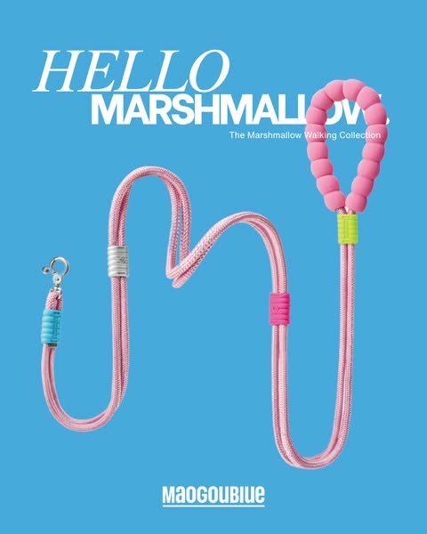 Everything You Need for Better Walks