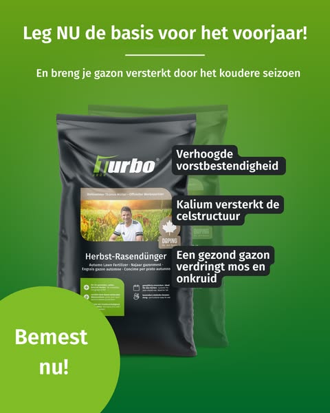 Je gazon redden na de zomer