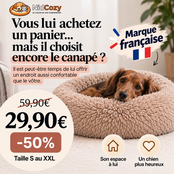Offre limitée : Jusqu'à -50%