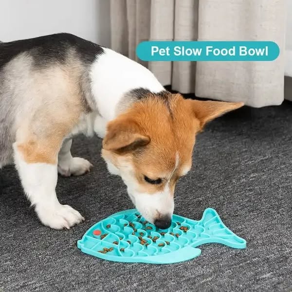 Does Your Dog Eat Too Fast?