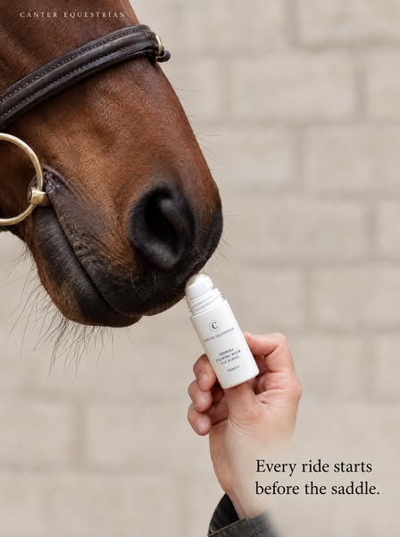 Zenroll Calming Balm for Horses