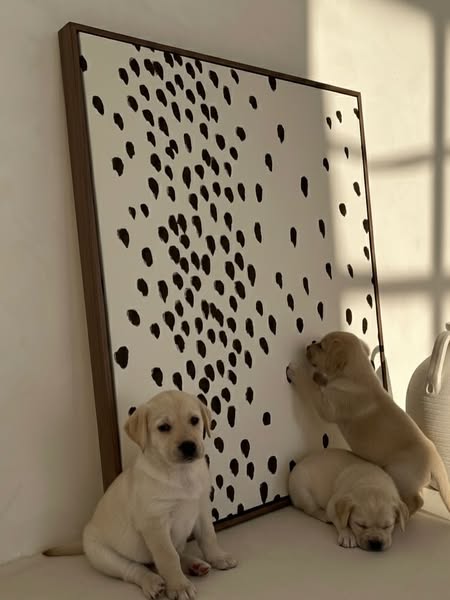 Wall Art & Frames For Your Home | The House Outfit