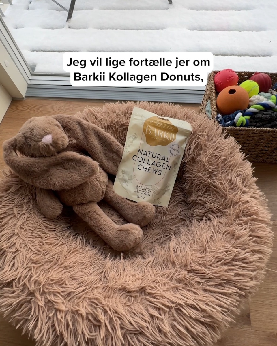 Din hunds nye favorit-snack?