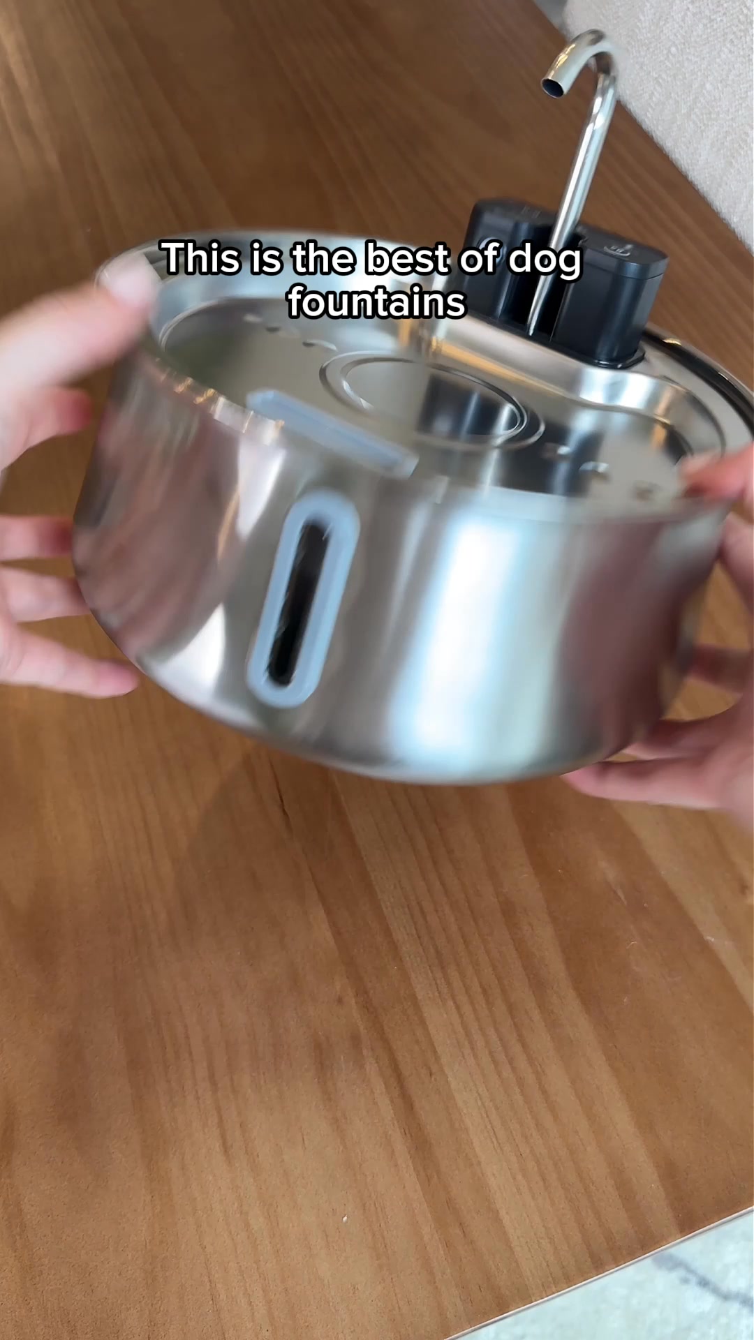The #1 Vet-recommended Dog Fountain