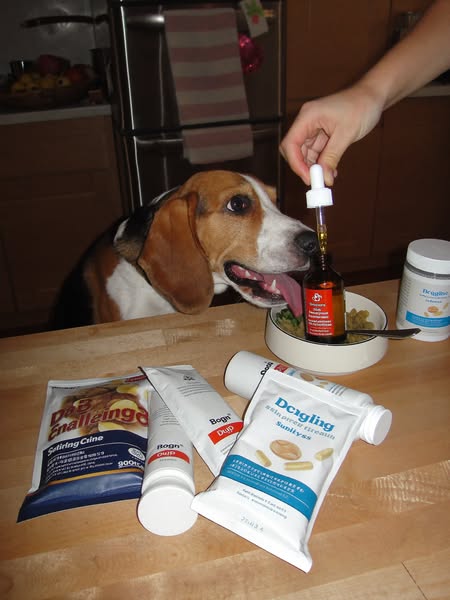 Top Liquid Collagen For Dogs