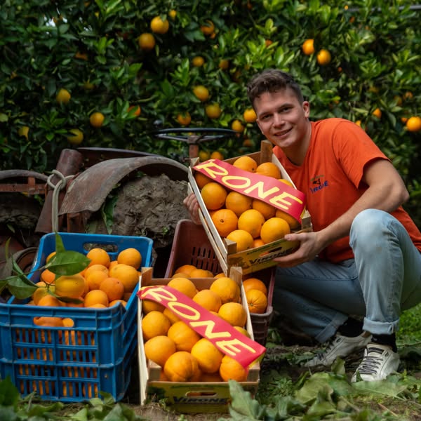 Acquista le VERE Arance di Sicilia