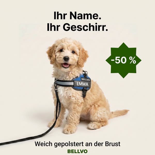 Das Anti-Zug-Geschirr für jede Größe und jede Rasse