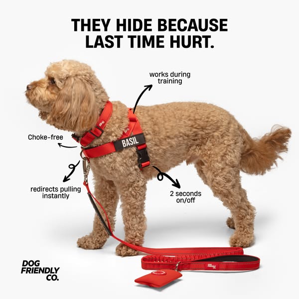 Rated #1 By Dog Owners