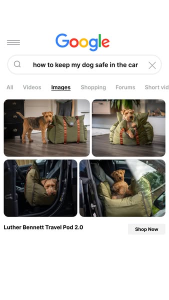 Recommended by Vets