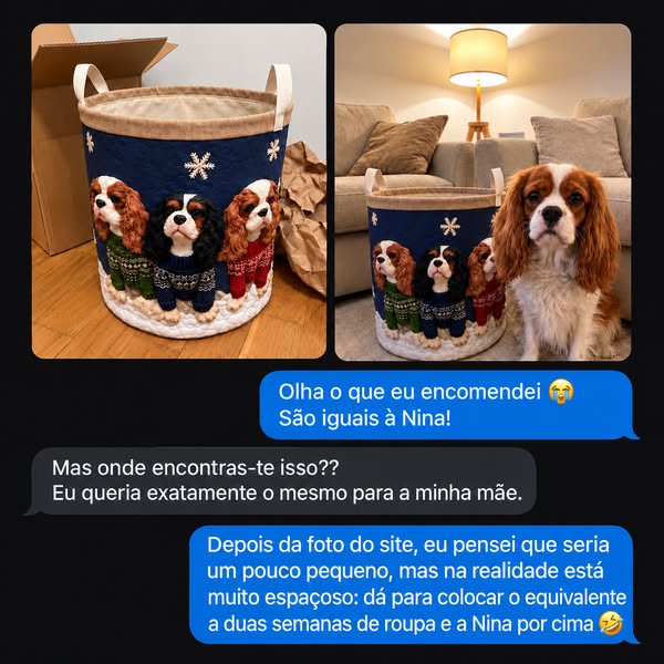 Saldos Finais — até 70% de desconto