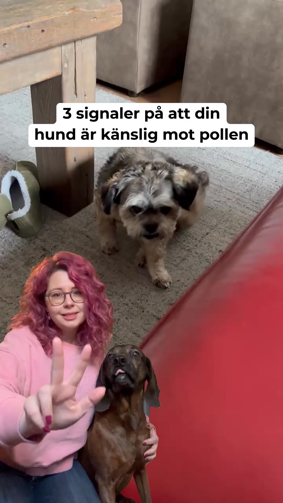 Bekämpa säsongsallergier! (100% naturligt)