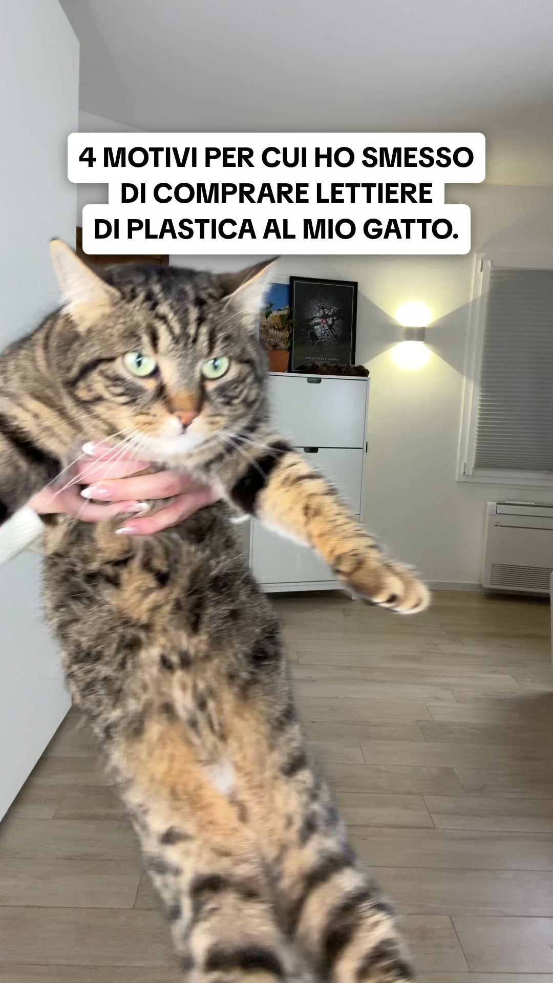La Lettiera in Acciaio Inox Che Ti Cambierà la Vita