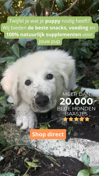 De beste start voor je pup