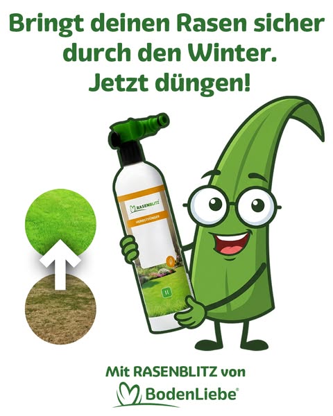 Jetzt ist Herbstdünger-Zeit