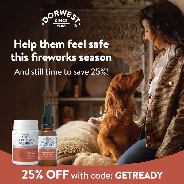 Trusted natural support