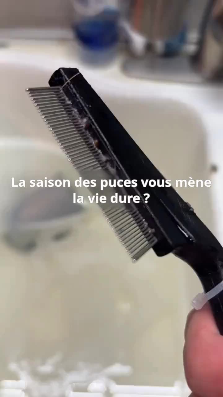 👉👉👉👉👉