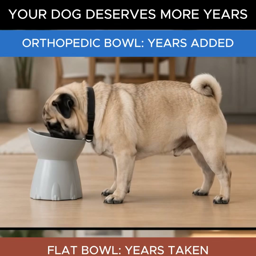 Orthopedic Bowl