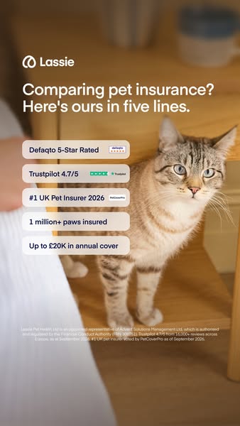 Insure your pet today