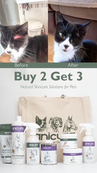 3 for 2 - Eczema Awareness Week