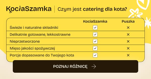 Dieta próbna dla Twojego Kota
