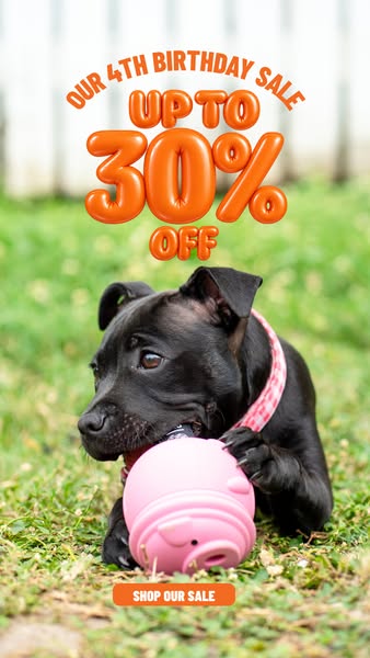 Beds, toys and treats, up to 30% off