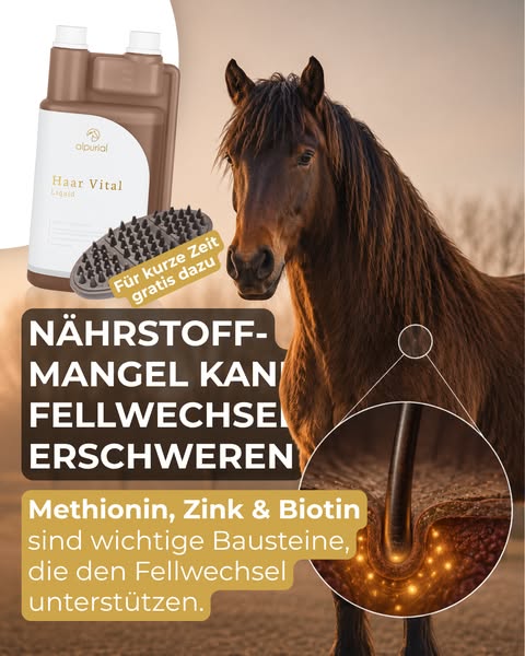 Fellwechsel Einkauf