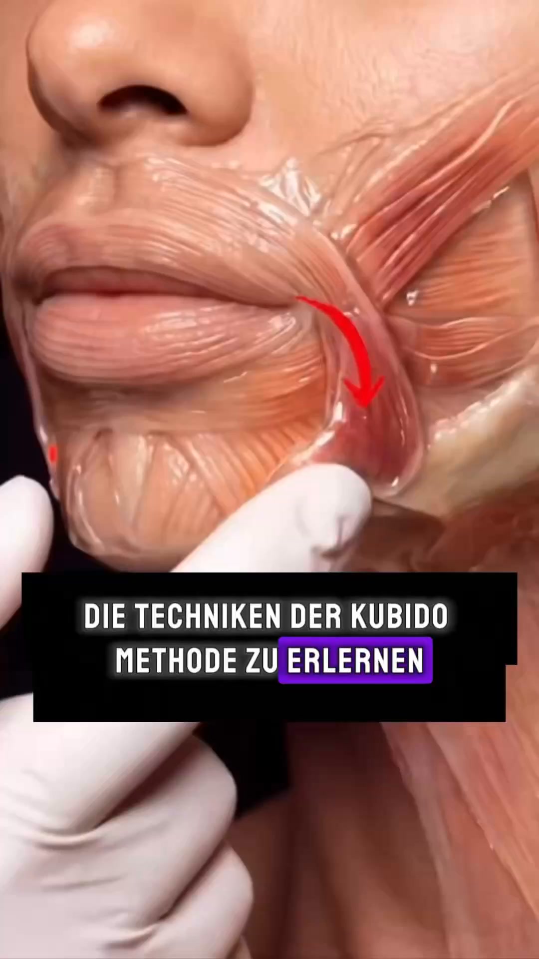 ENTDECKE DIE KOBIDO-METHODE!