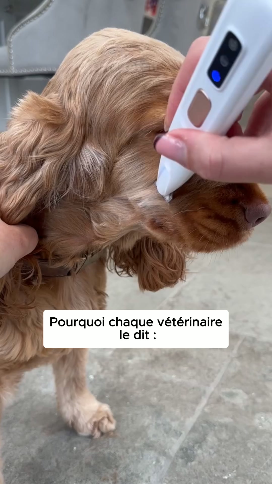 Recommandé par les vétérinaires