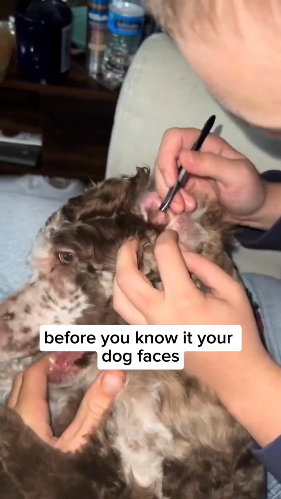 #1 Treat for Itchy Skin