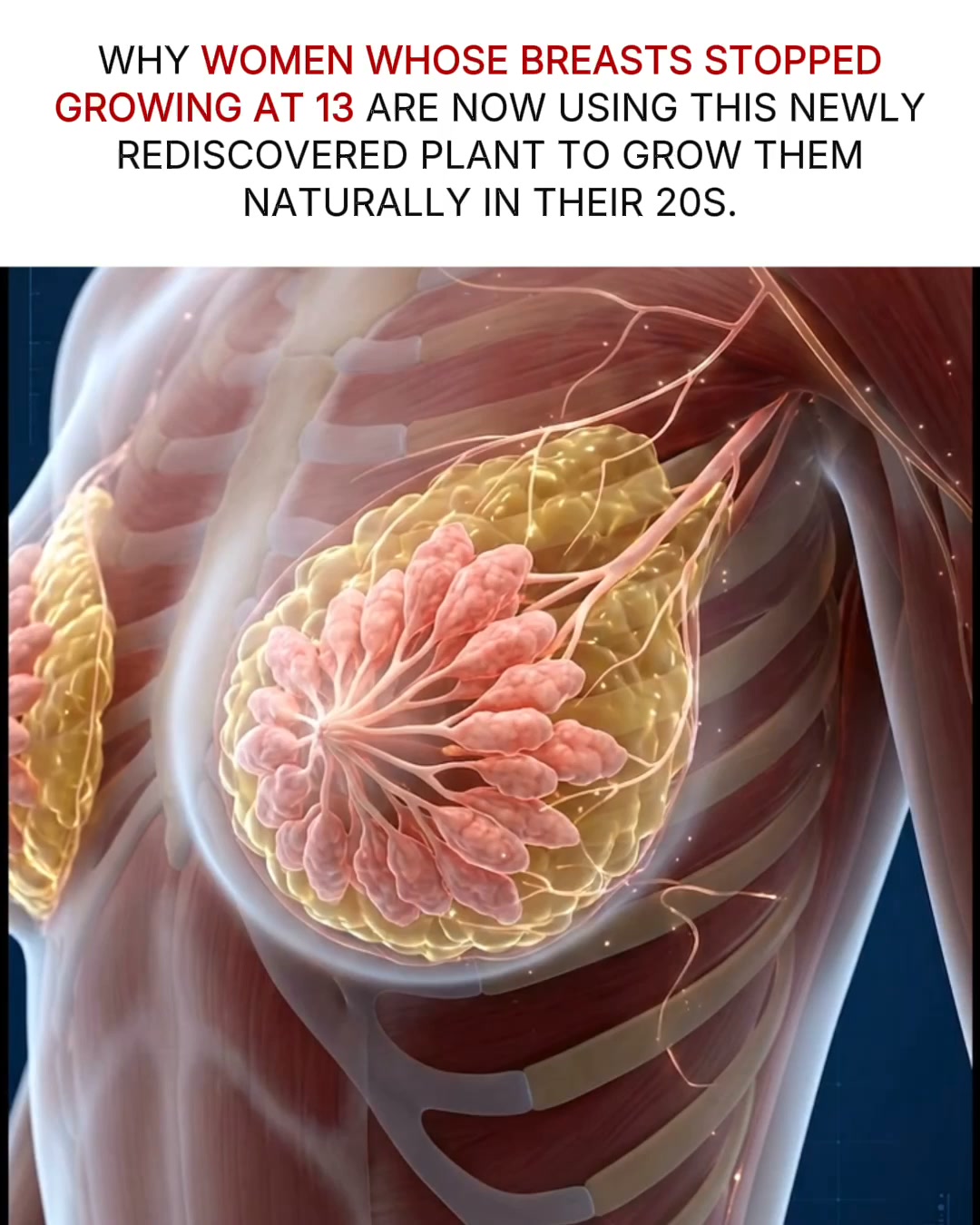 Why Your Breasts Stopped Growing At 13