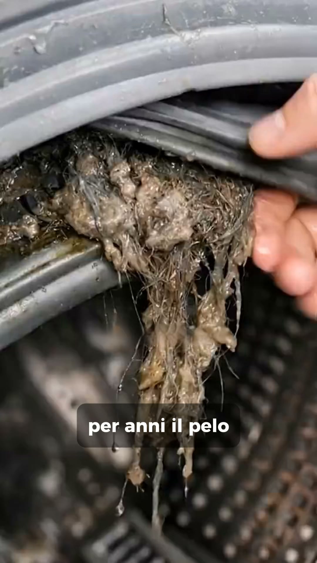 Se il bucato ha ancora un odore sgradevole dopo aver pulito la lavatrice... ecco la spiegazione