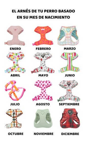 Varios modelos disponibles