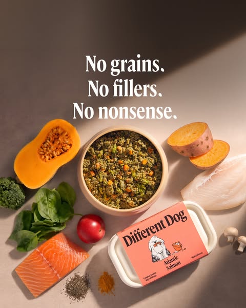 No fillers. No nasties. Just proper food.
