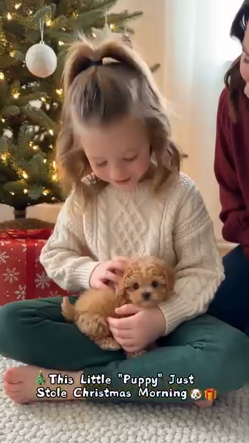 A Little Puppy, A Lot of Joy