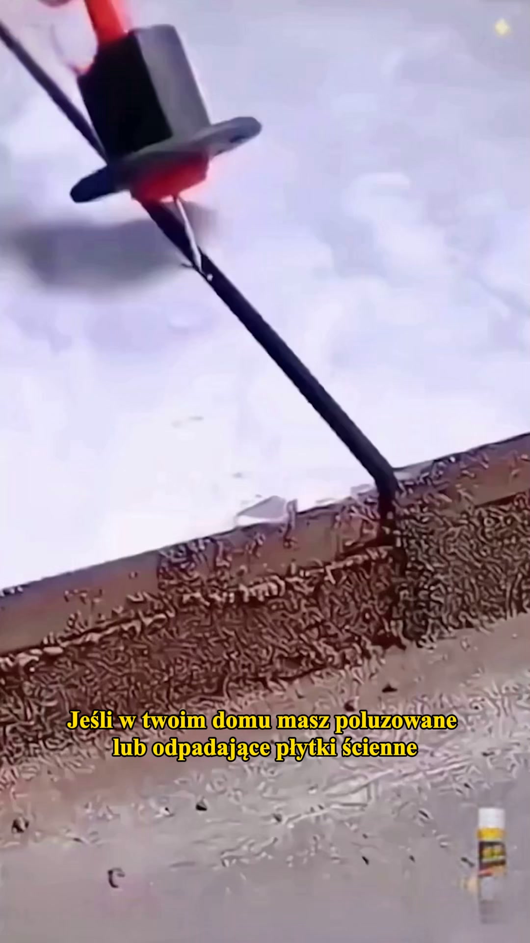 Napraw puste płytki za cenę jednego posiłku!