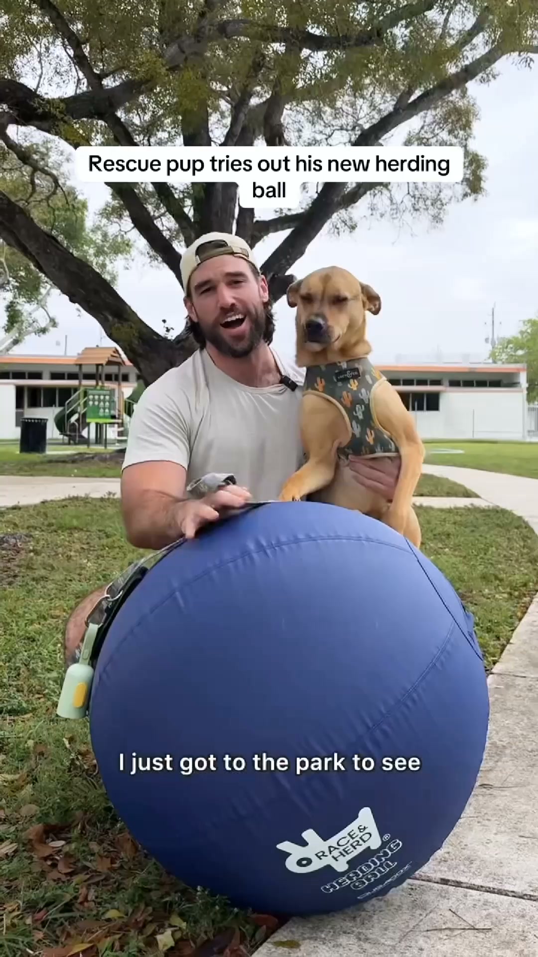 The Ball That Finally Gets Them To Settle